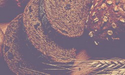Bread