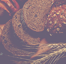 Bread