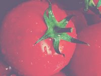 Tomatos