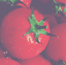 Tomatos